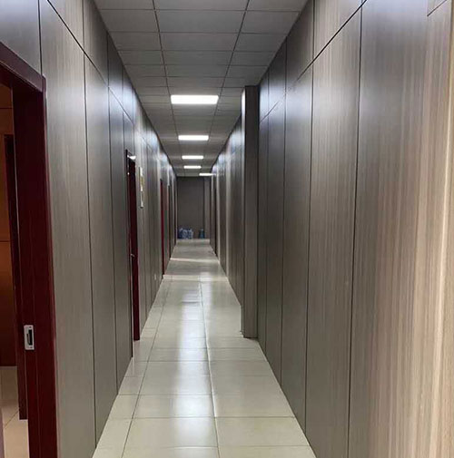 Projekt medicinske i sestrinske integracije Hongze Lake